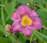 DSC_0003.webp