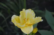 DSC_0008.webp