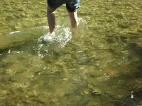 SAM_5015.webp