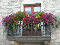 SAM_5009.webp