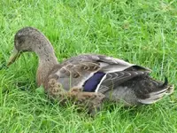 Bild 670.webp