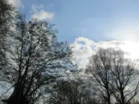 141.webp