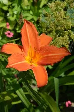 DSC_2103.webp