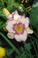 DSC_2104.webp
