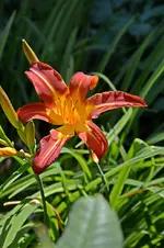 DSC_2114.webp