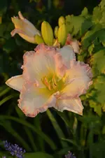 DSC_2117.webp