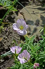 DSC_2112.webp