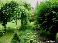 P1000600.webp
