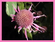 108.webp