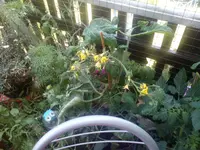 IMG_20140718_150756.webp