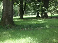 SAM_5005.webp