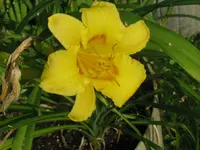 003_1024x768.webp
