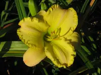6954 kerstin_1024x768.webp