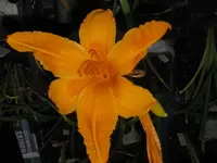 001_1024x768.webp