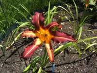 BILD3264.webp