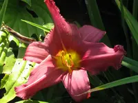 hildegartd2_1024x768.webp