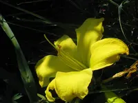 no name gelb2_1024x768.webp