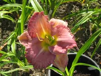 rätsel_1024x768.webp