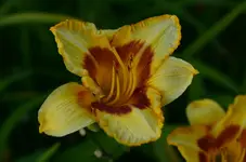 DSC_0010.webp