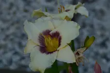 DSC_0022.webp