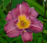 DSC_0027.webp