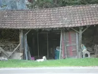 SAM_5026.webp