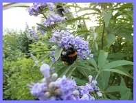 027.webp