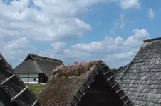 DSCF7346.webp