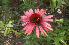 DSCF7395.webp
