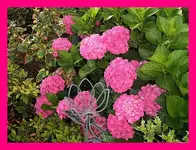 086.webp