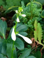 DSCN9092.webp
