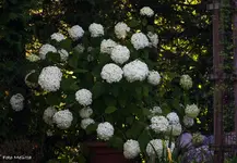 IMG_3613.webp