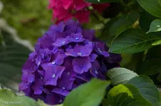 IMG_3622.webp