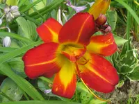 miracle2_1024x768.webp