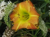 moroco2_1024x768.webp