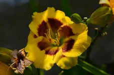 DSC_0008.webp