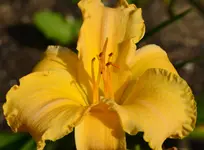 DSC_0012.webp