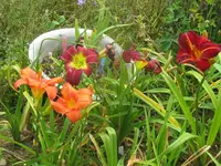 027_1024x768.webp