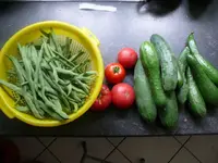 k-P1080131.webp