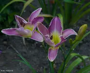IMG_3574.webp