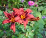 IMG_3582.webp