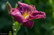 IMG_3642.webp