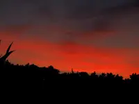 DSCF3604.webp