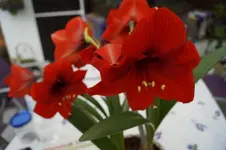_DSC6490.webp