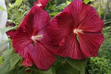 _DSC6447.webp