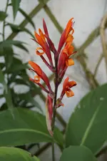 _DSC6473.webp