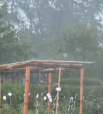 DSC_9633_Regen.webp