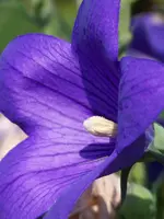 023.webp