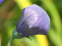 025.webp