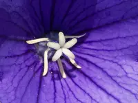 026.webp